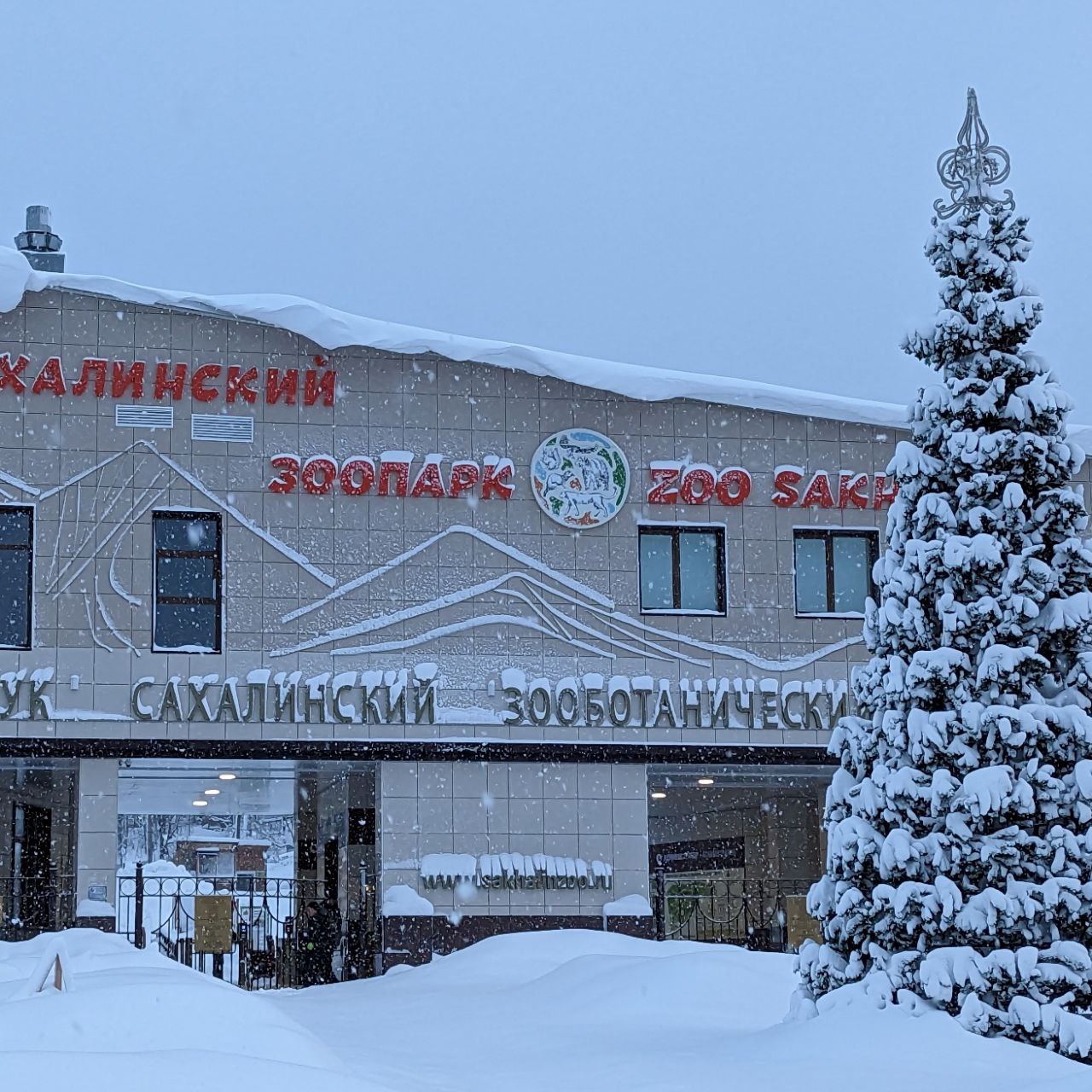 зоопарк в южно сахалинске