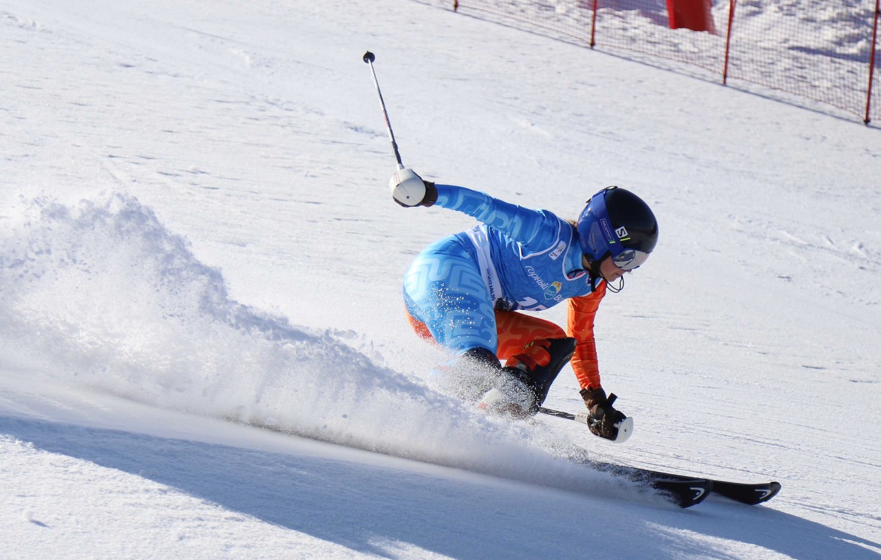 Skiing 3 формы
