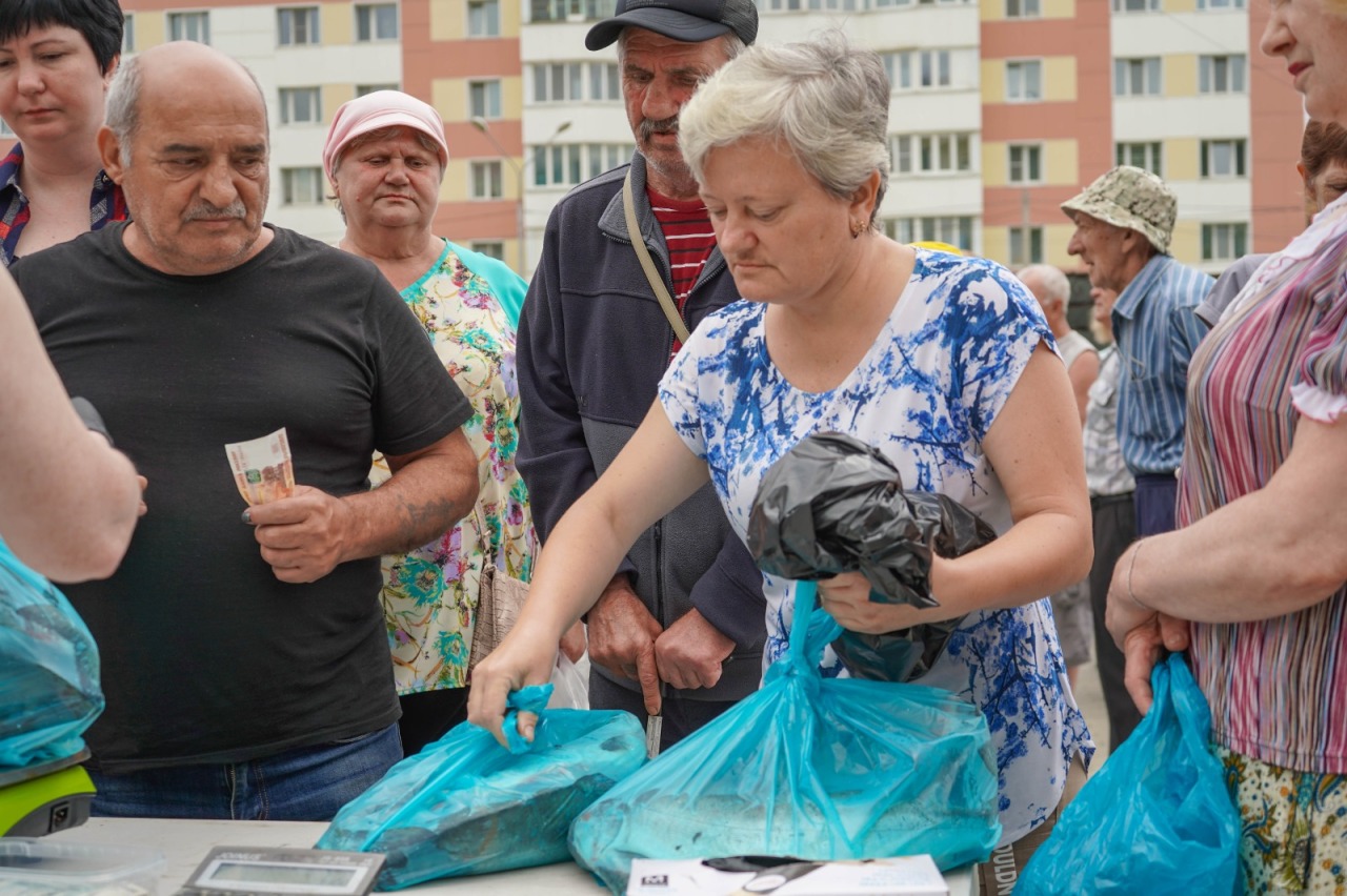 CitySakh.ru - ​В Корсакове началась реализация свежевыловленной горбуши