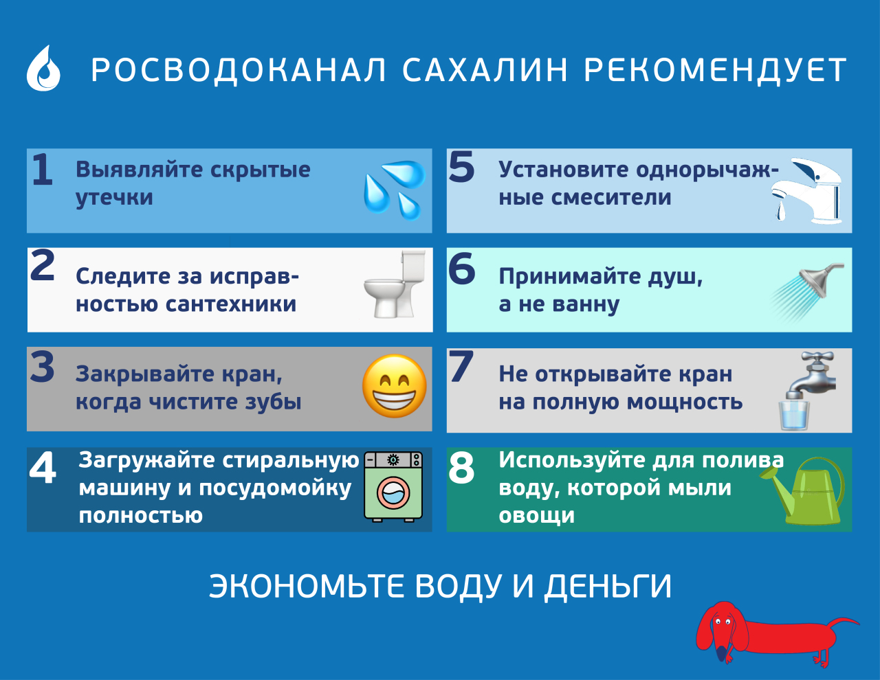 CitySakh.ru - Как сэкономить воду и семейный бюджет: простые советы от  «РВК-Сахалин»