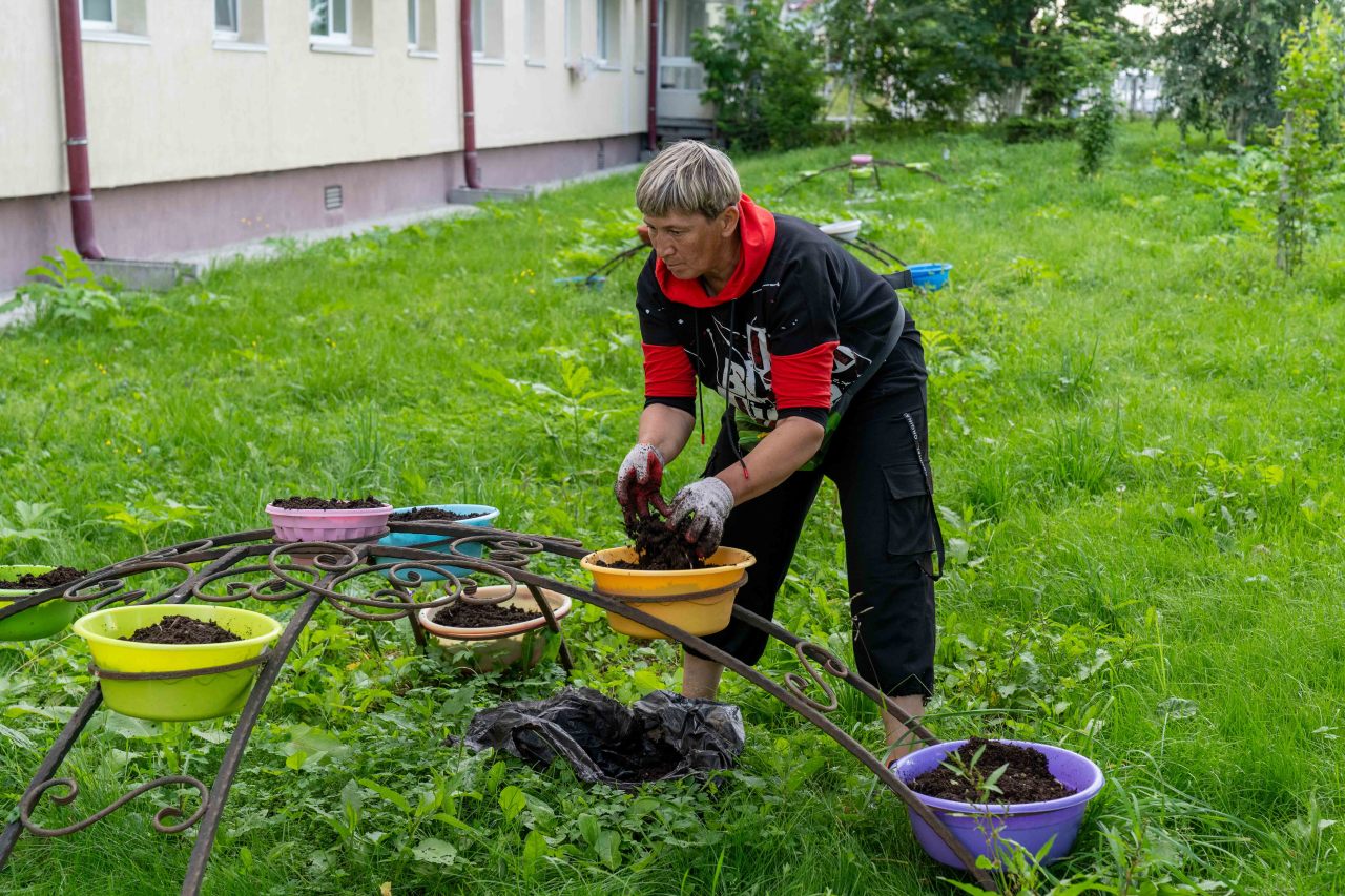 Озеленение территории фото