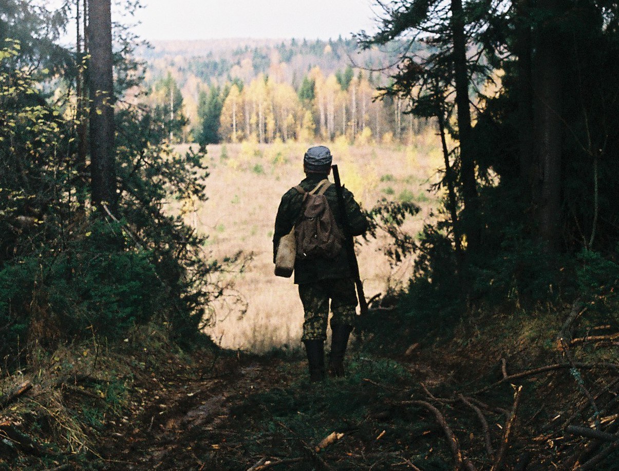 Жизнь тайги лесные. Охотник в лесу. Лесничий в лесу. Человек идет по лесу.