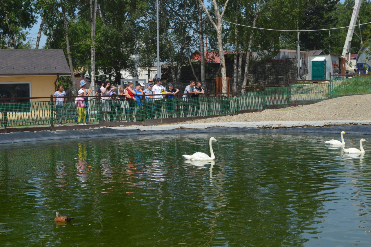 Сахалинский зоопарк