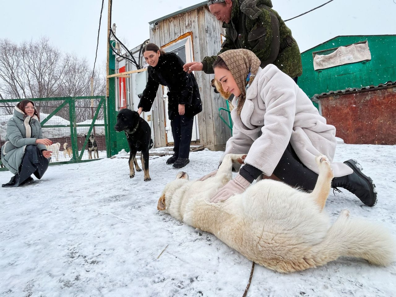 Где Купить В Южно Сахалинске Собаку