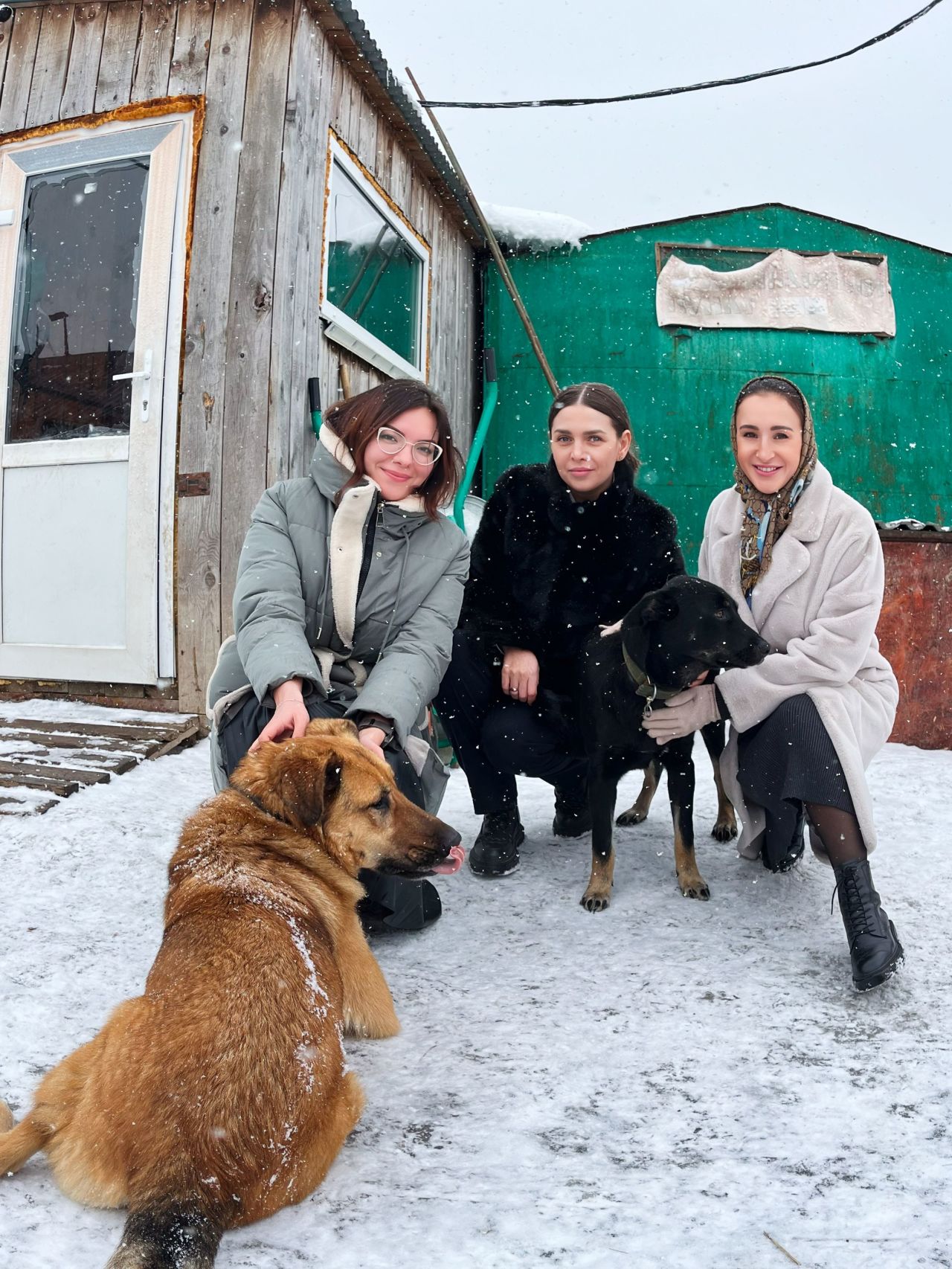 CitySakh.ru - Сотрудники аэровокзала Южно-Сахалинск пришли на помощь приюту  для животных